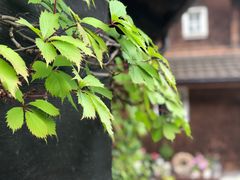 -龙疆湖