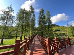 -广州市石门国家森林公园