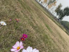 -汉长安城未央宫国家考古遗址公园