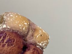 -奈雪的茶(大连新玛特店)