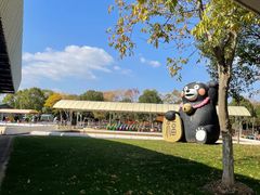 -上海海湾国家森林公园