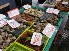-海鮮寿司とれとれ市場