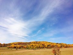 -塞罕坝国家级自然保护区