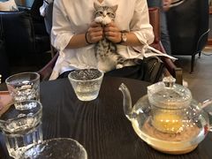 -咖法森林·咖啡  酒吧(天河店)