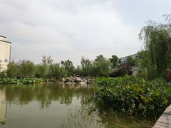 -北京国家会计学院