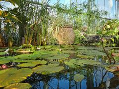 -国家植物园南园