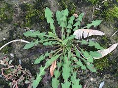 -白塘生态植物园