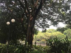 -晓港公园