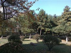 android_upload_pic-辽宁大学(崇山校区)