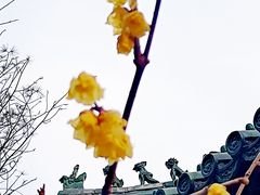 -月坛公园