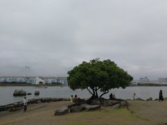 -台场海滨公园船码头