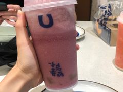 -春丽小马(济南恒隆广场店)