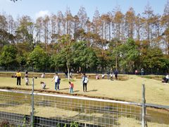 -上海长兴岛郊野公园