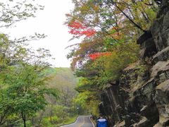 -洛阳白云山景区