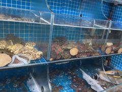 -宾朋海鲜饭庄(兴海路店)