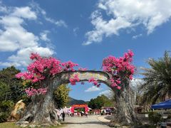 -天适樱花悠乐园