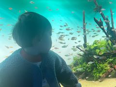 -台州海洋世界