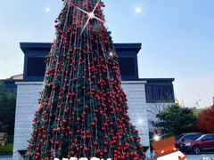 -上海崇明金茂凯悦酒店