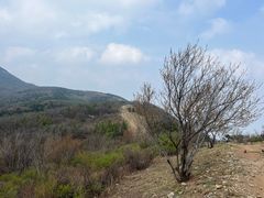 -北京鹫峰国家森林公园