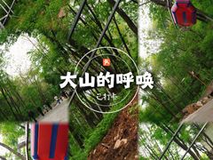 -帽儿山风景区