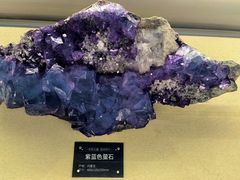 -中国地质博物馆