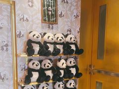 -成都尼依格罗酒店