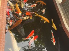 -侠成水上农庄(工业大道店)