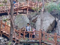 -大岭沟猕猴桃谷风景区