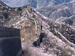 -集贤阁海鲜酒楼(北辰总店)
