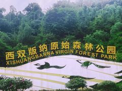 -西双版纳原始森林公园