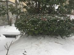 -扬州天乐湖嬉乐谷