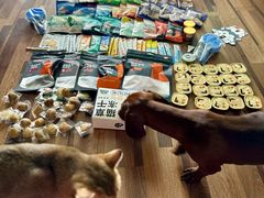 -成都世纪城新国际会展中心