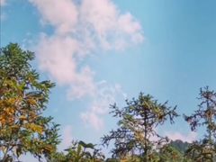 -藏龙百瀑风景区