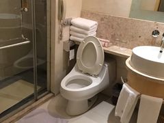 -南京钟山宾馆(江苏省会议中心)