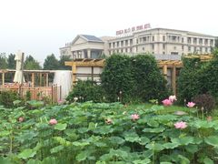 -中家鑫园温泉酒店鑫悦汤泉