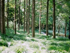 -柯达真美(老重庆中路店)