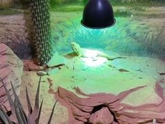 -正佳雨林生态植物园
