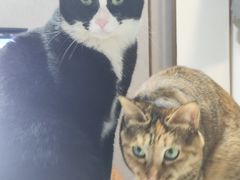 -香樟花园法式铁板烧(恒隆广场店)