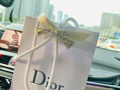 -DIOR迪奥(德基广场女装店)