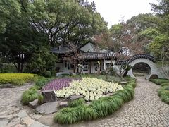 -汇龙潭