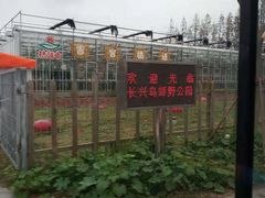 景点-上海长兴岛郊野公园