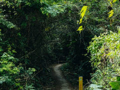 -马峦山郊野公园