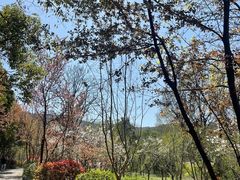 -虞山风景区
