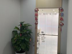 -碧莲盛·不剃发植发
