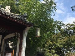 -汇龙潭