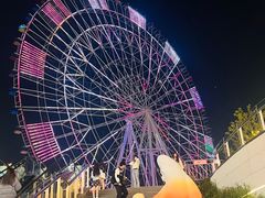 -南昌之星摩天轮