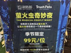 -三亚亚龙湾人间天堂鸟巢度假村