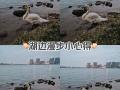 -北龙湖湿地公园