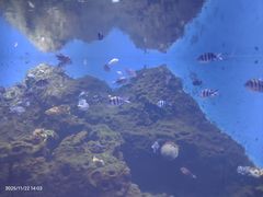 -华夏文旅西安度假区