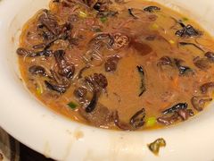 -鸽子窝(青塔店)
